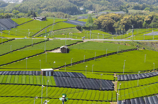 配、農(nóng)網(wǎng)解決方案